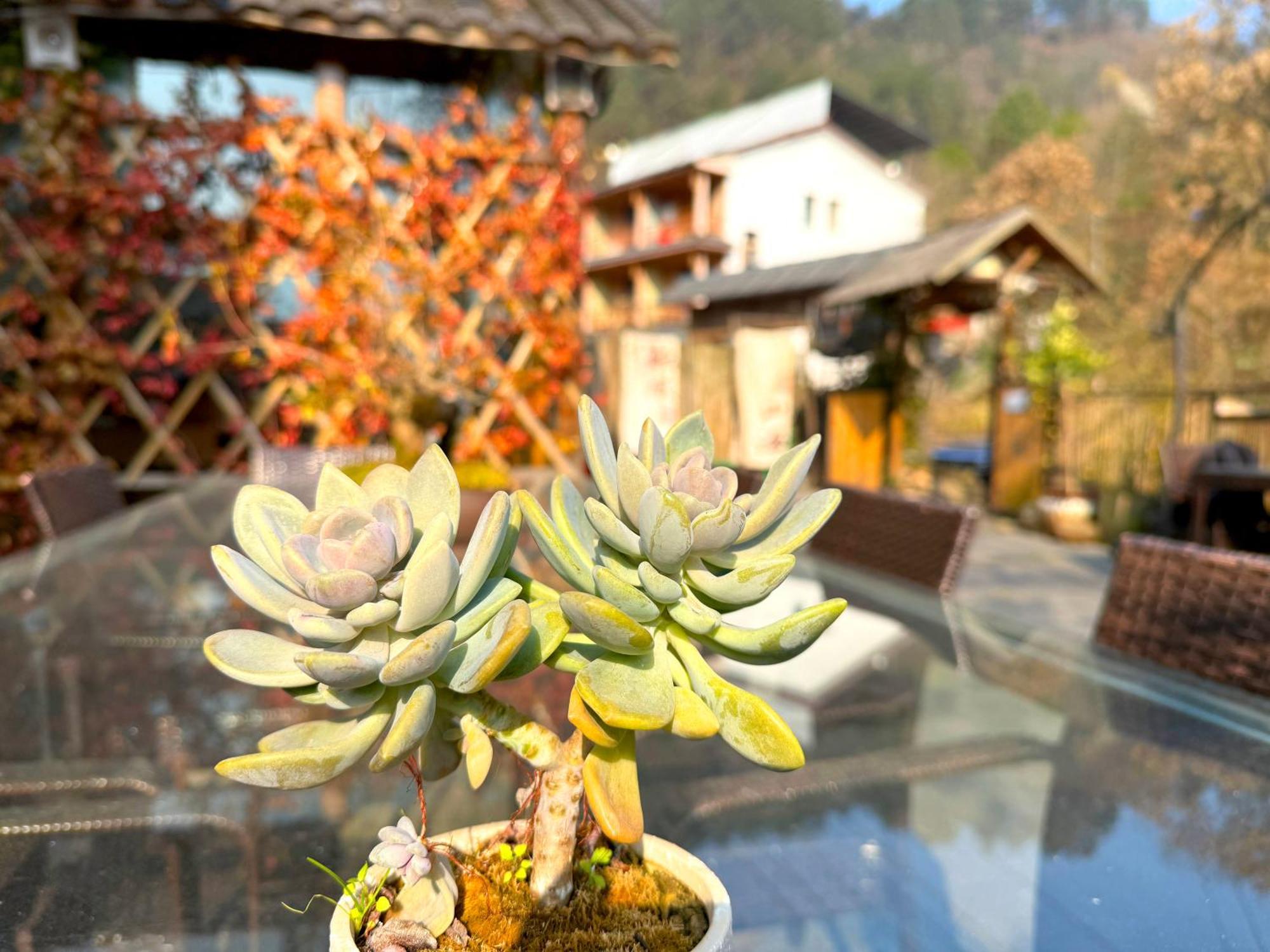 Zhangjiajie Forest Park Youth Hostel Exteriér fotografie